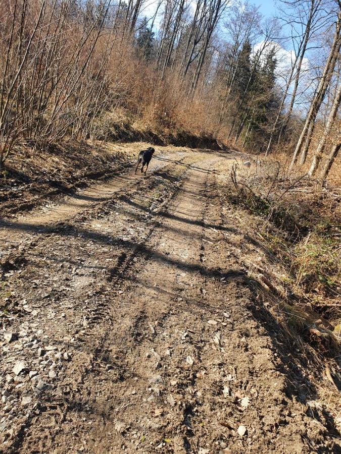 Horska Chata V Srdci Kremnickych Hor Banská Bystrica Exterior foto